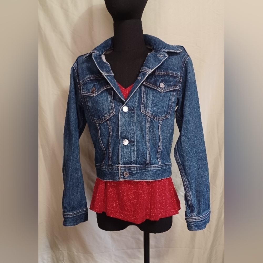 Everlane The Shrunken Denim Jacket